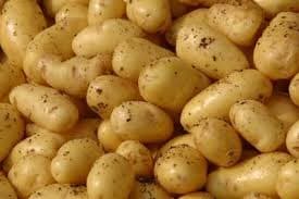Fresh Potatoes_ Sweet Potatoes_Organic Fresh Irish Potatoe